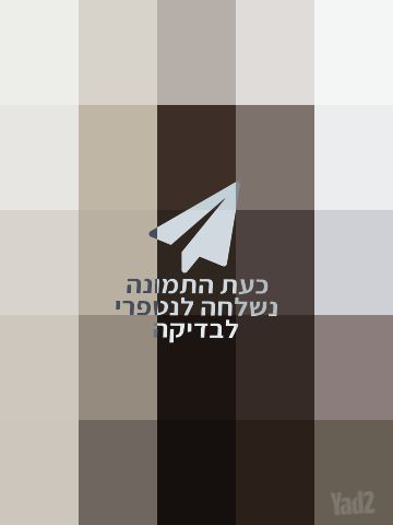 פאת טופ לייס