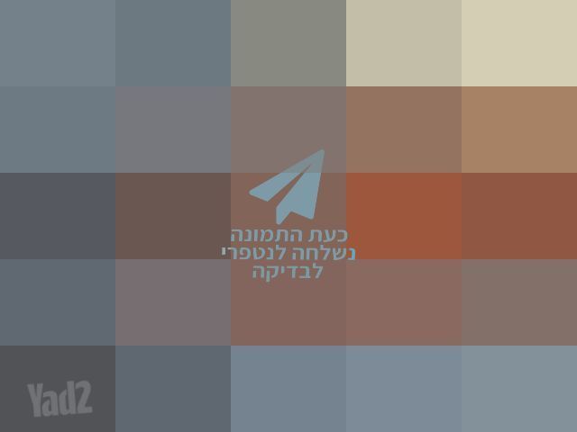 כינור צרפתי מקצועי