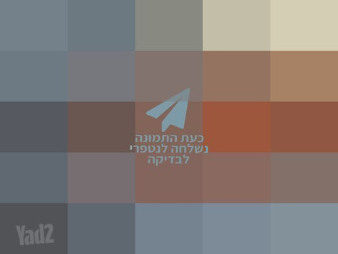 כינור צרפתי מקצועי