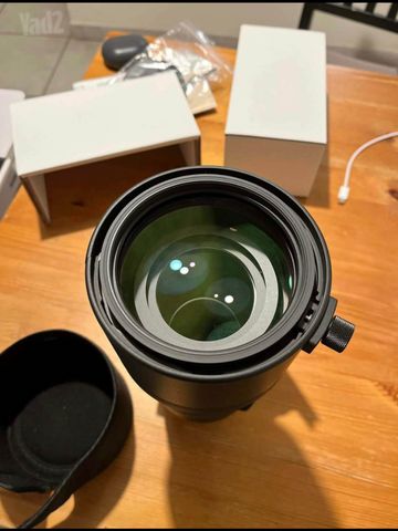 Sigma 150-600 Sony