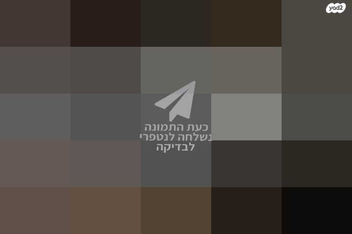 מגהץ טפאל