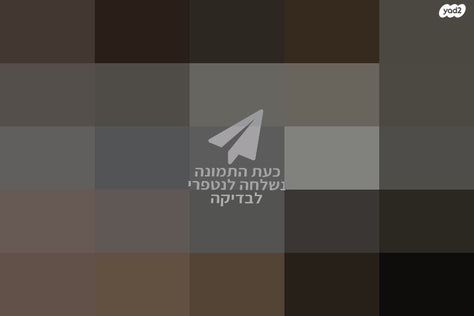 מגהץ טפאל