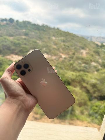 iPhone 12 Pro Max 256GB