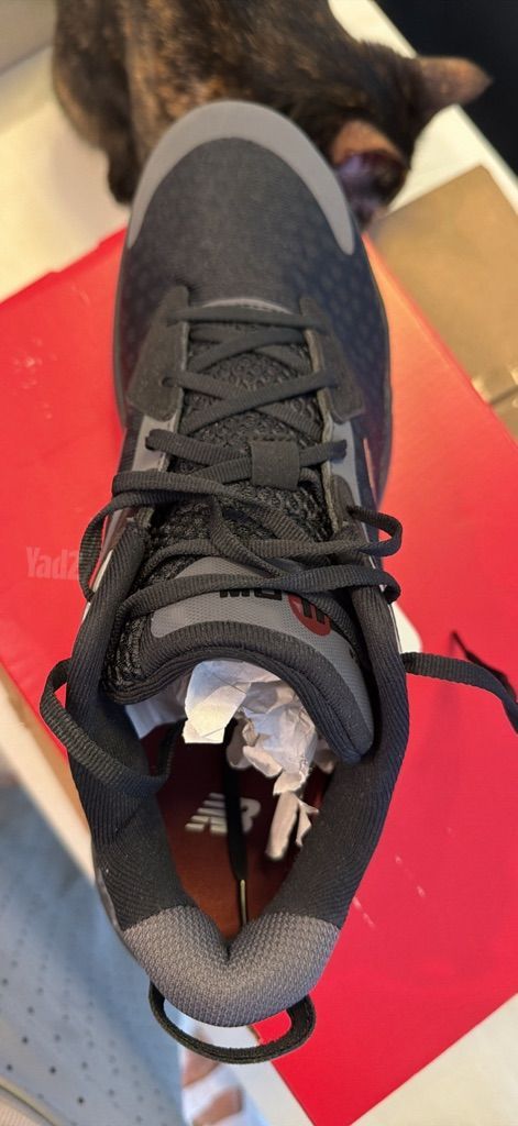 New Balance BB Hesi Low v2
