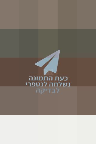 ספרי טוש"ע