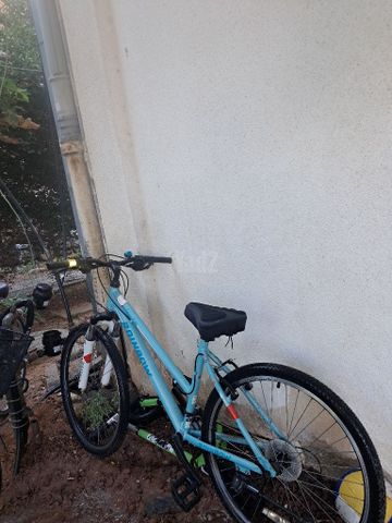אופני rainbow
