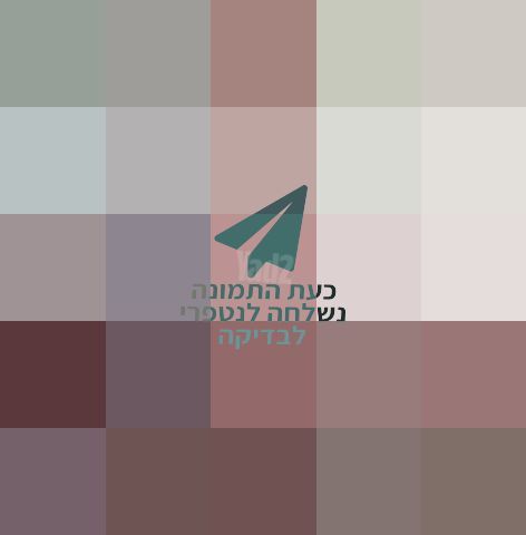 נדנדה לגינה