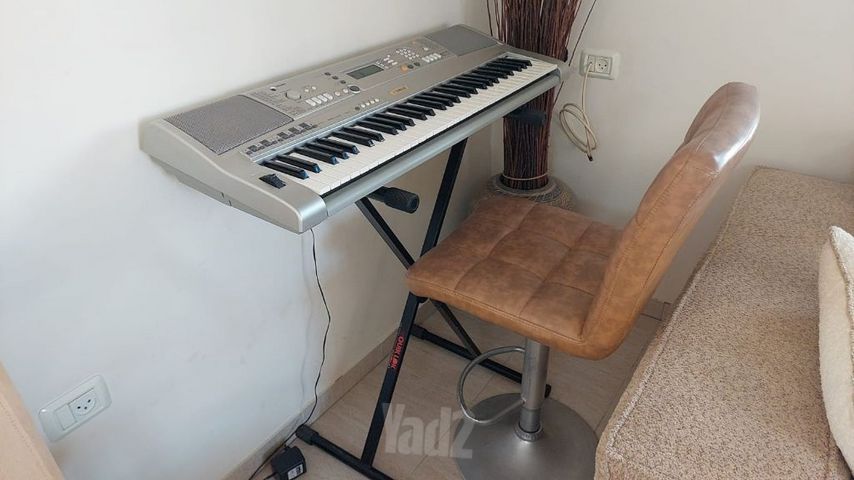 אורגן קלידים