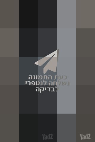 אורגן קורג EK 50