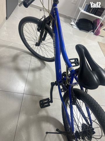 אופנים