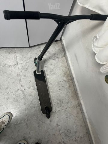 סקוט פעלולים