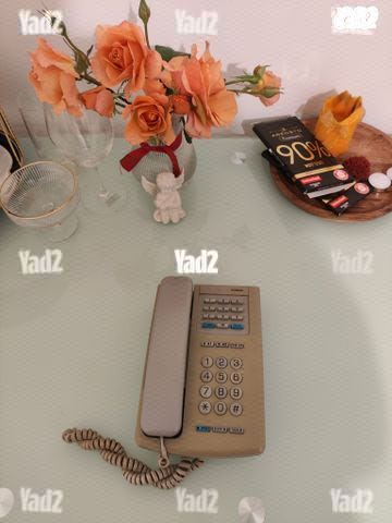 טלפון נייח במצב מצויין.