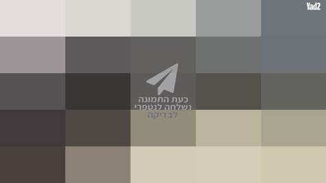 ספות ענק