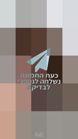 פאה קצרה