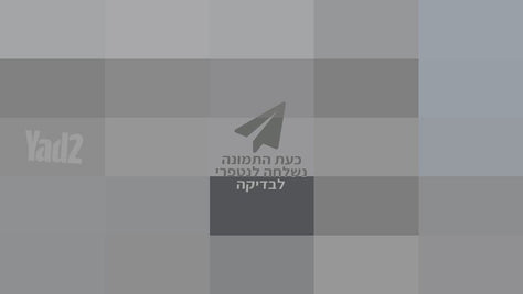 נגן סייס 3