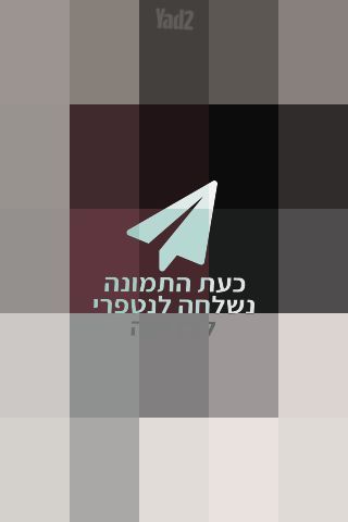 תיק מותג  DKNY