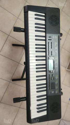 אורגנית חשמלית