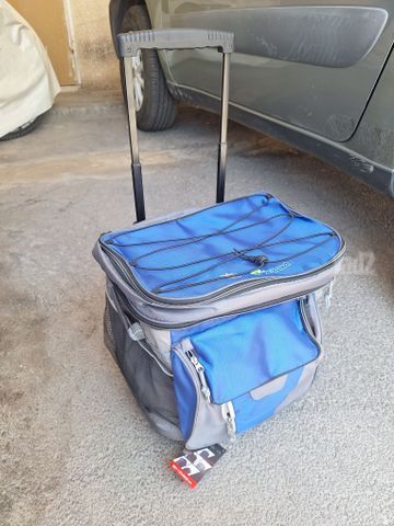 צידנית