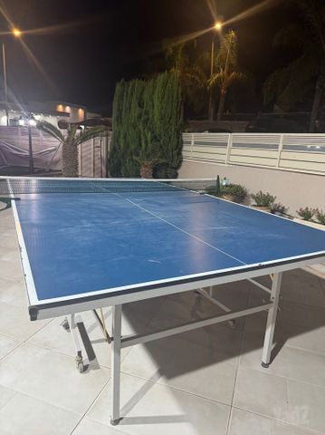 שולחן פינג פונג