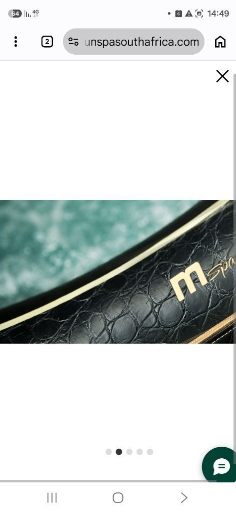גקוזי מתנפח MSPA Exotic