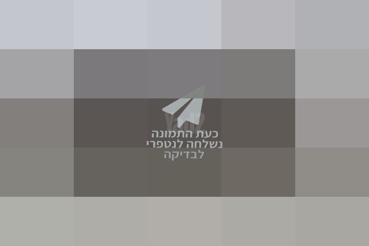 כסאות מטבח