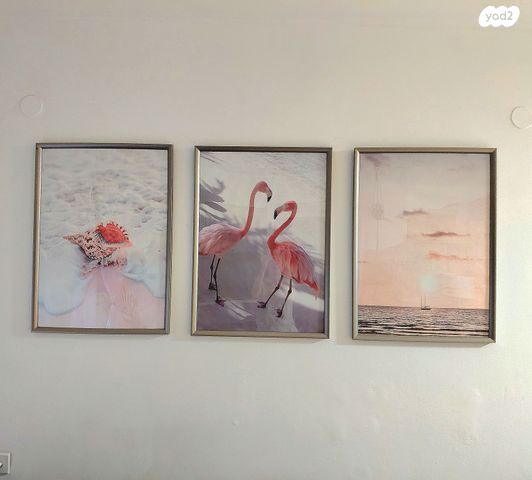 תמונות / מסגרות 50×70