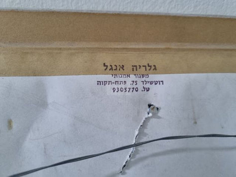תמונה