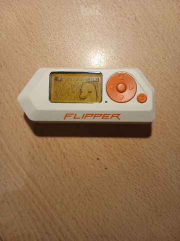 פליפר זירו flipper zero