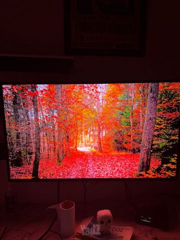 מסך oled אסוס