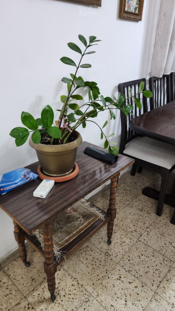 מזנון ועגלה