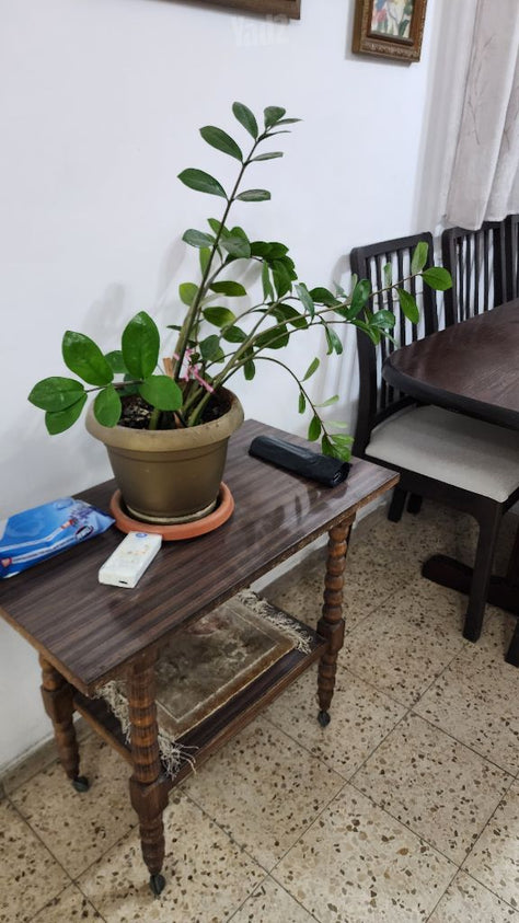 מזנון ועגלה