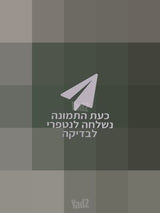 אוזניות קשת sony xm1000 3