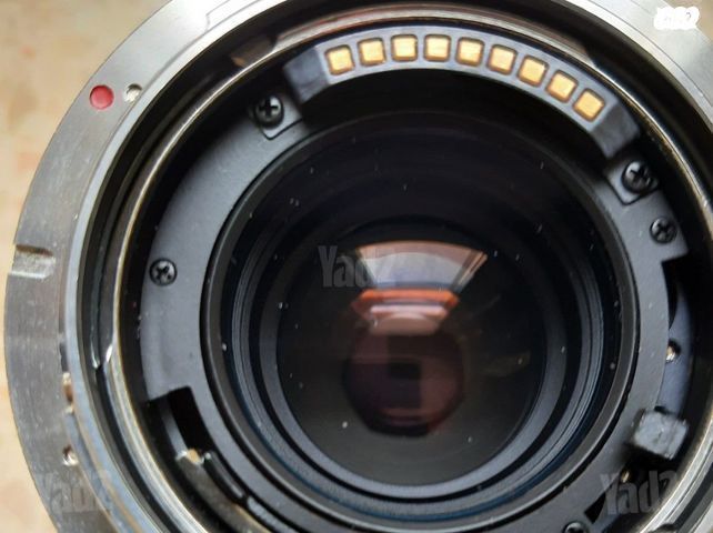 Leica Apo Macro Elmarit R 100