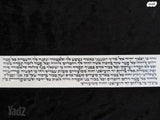תפילין