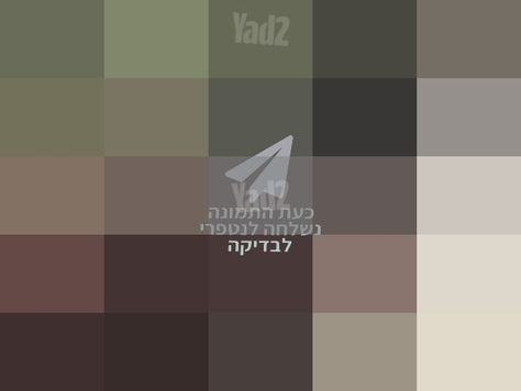 קולנועית