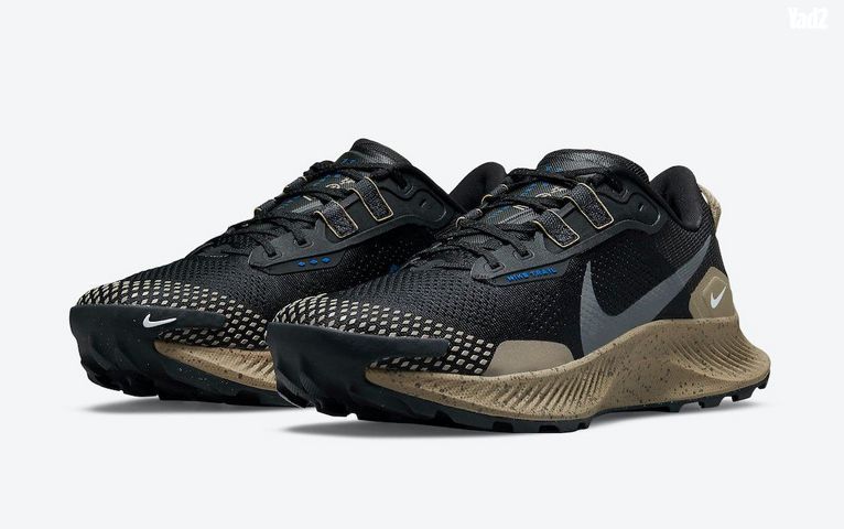 Nike Pegasus Trail