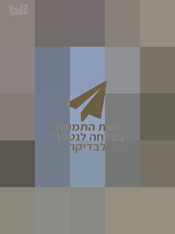 2שמלות ארוע