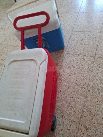 צידנית