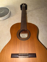 גיטרה Altamira