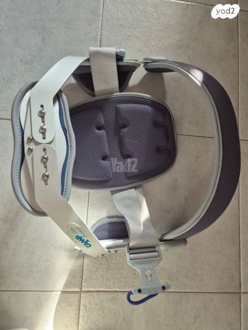 חגורת גב