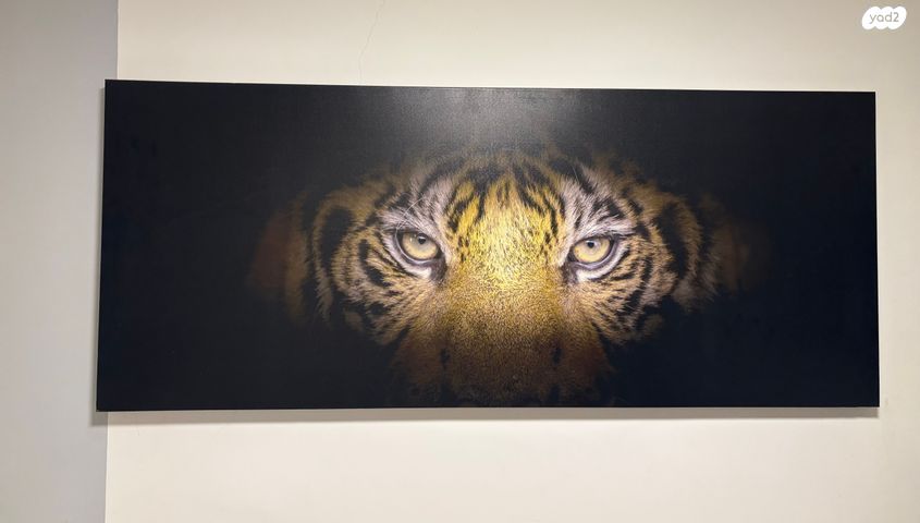 תמונת קנבאס במצב מעולה