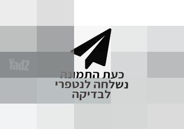 מעבד מזון Broun