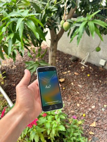 iPhone se