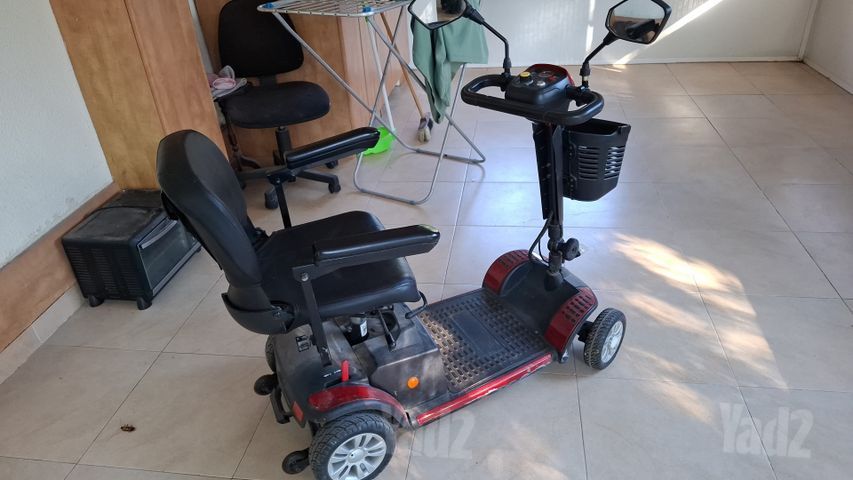 קלנועית