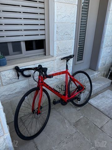 אופני כביש- pinarello