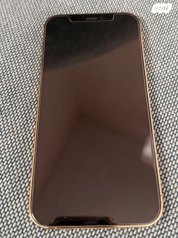 iPhone 12 Pro