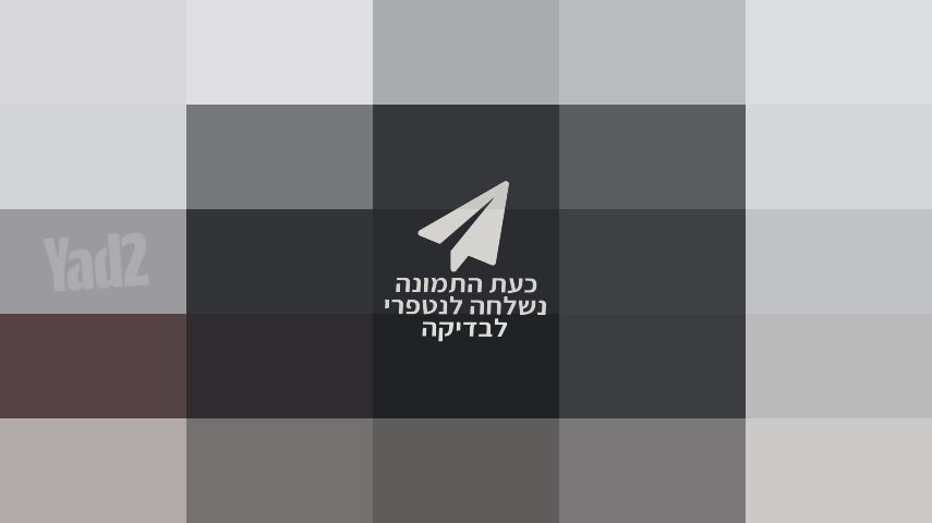מצלמת  5D MARK IV + עדשה 50