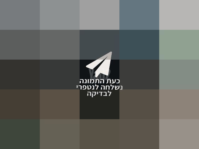 דונה X