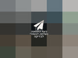 דונה X