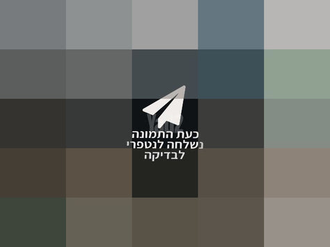 דונה X